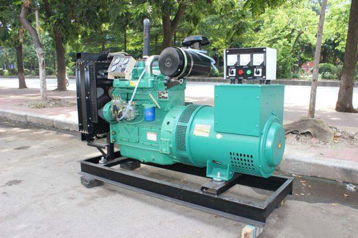 玉树发电机不发电的原因 玉树发电机不发电的原因